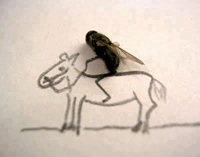 photo art34